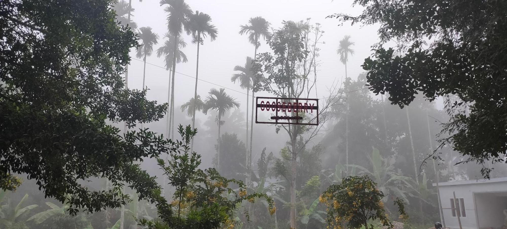 Gooseberry Family Retreats - Wayanad By Karapuzha Resorts Meenangadi Εξωτερικό φωτογραφία