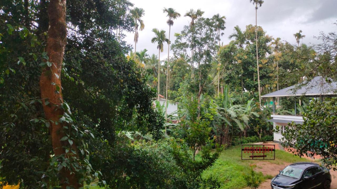 Gooseberry Family Retreats - Wayanad By Karapuzha Resorts Meenangadi Εξωτερικό φωτογραφία
